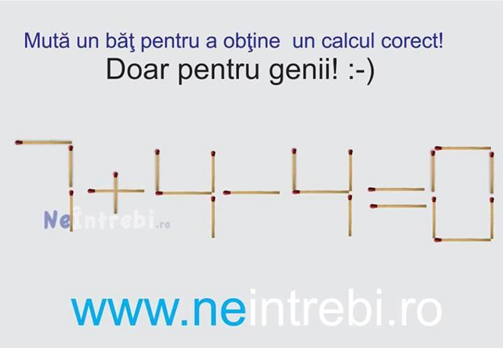 diverse 2 - 1001149484776474941992373084466n.jpg